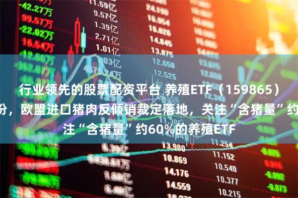 行业领先的股票配资平台 养殖ETF（159865）净流入2600万份，欧盟进口猪肉反倾销裁定落地，关注“含猪量”约60%的养殖ETF