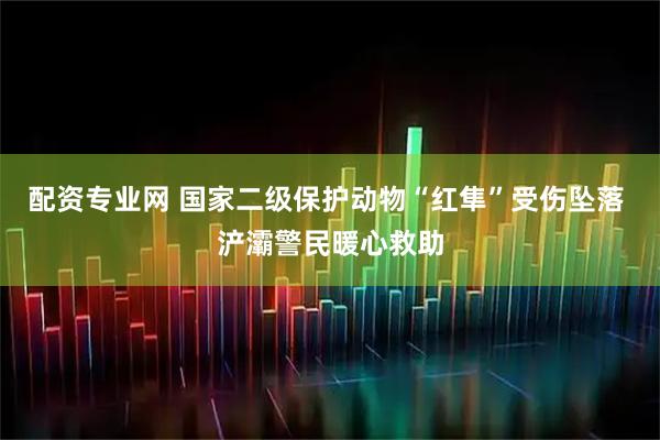 配资专业网 国家二级保护动物“红隼”受伤坠落 浐灞警民暖心救助